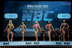 WELLNESS 163